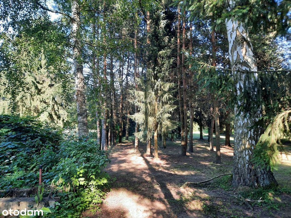 Spokojna działka nad rzeką