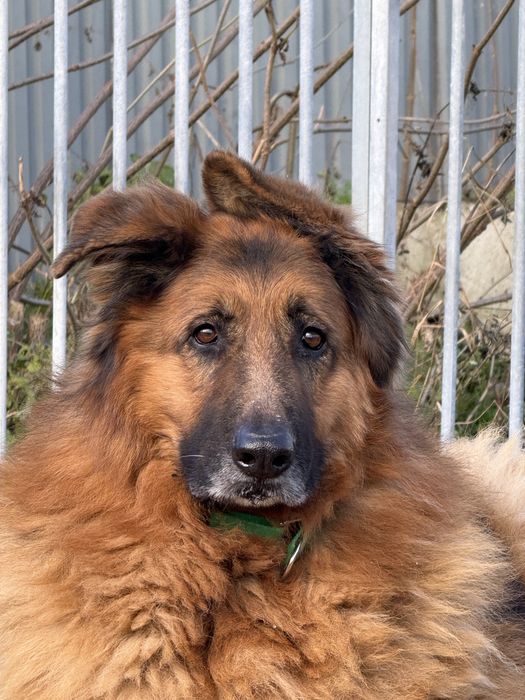 Hades szyka nowej rodziny