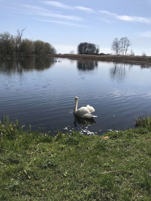 Продаю будинок в сільській мальовничій місцевості.Дубенщина.