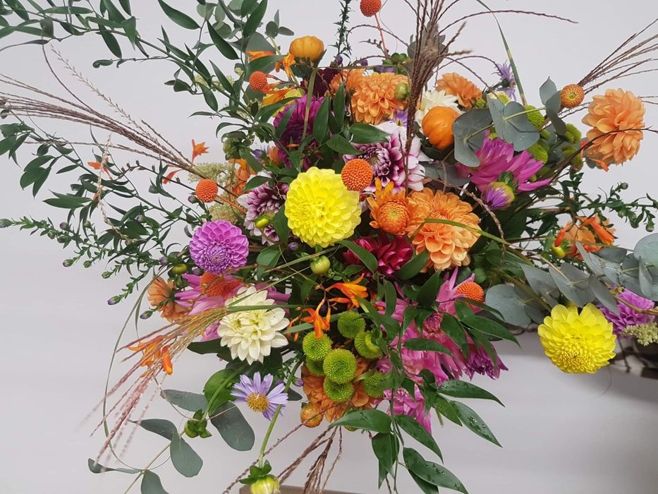 Dalia Karpy Rozne kolory