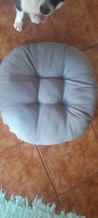 Cama de cao medio