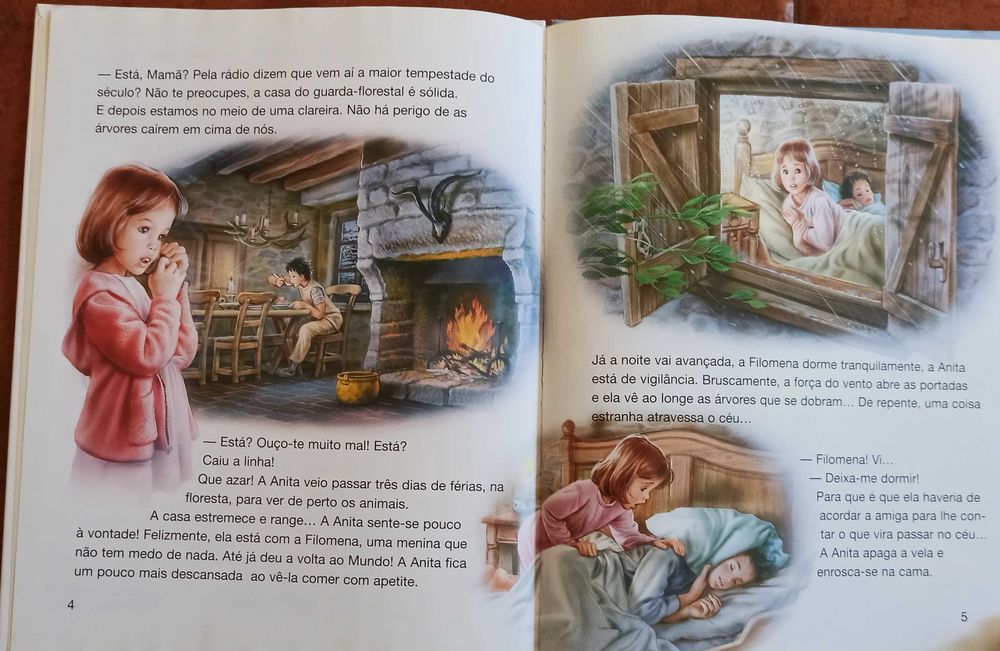 Livro da Anita - Anita e a arca de Noé - Martine - Livro novo