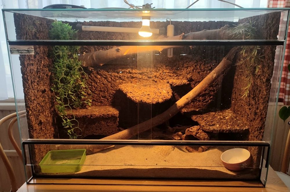 Terrarium szklane 100×70×50 cm – wentylowane, ręcznie robione tło