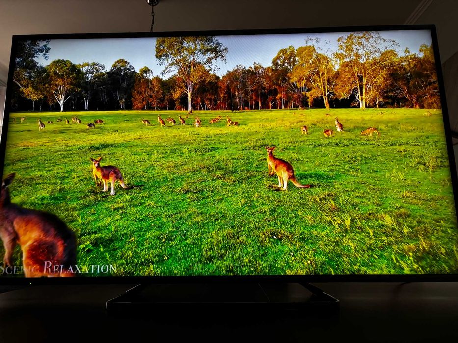 Telewizor Panasonic TX-55AX630 55" 4K UHD Smart TV– 3D, Wi-Fi,YouTube,