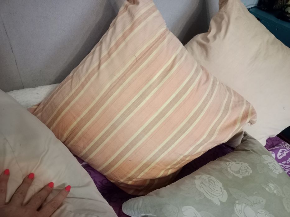Гусяче пір'я ,скубане,  (3 подушки), вага чиста 6.1 кг  + БОНУС 55*55 з курячим пір'ям