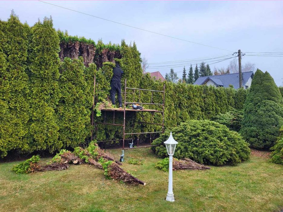 wertykulacja Kompleksowa pielęgnacja ogrodu | Wycinka drzew | Rynny