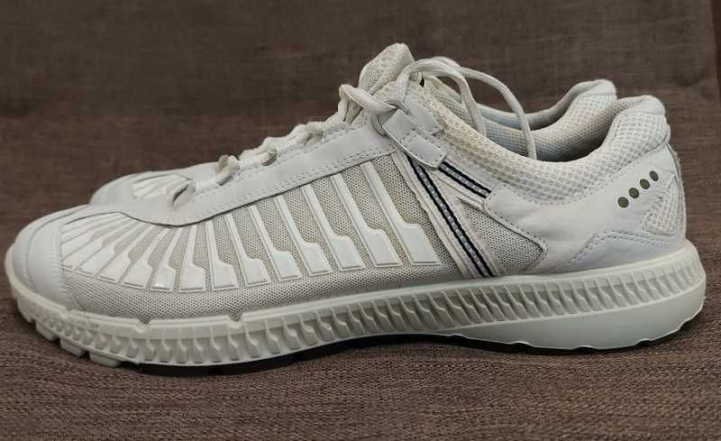 Кросівки    ECCO