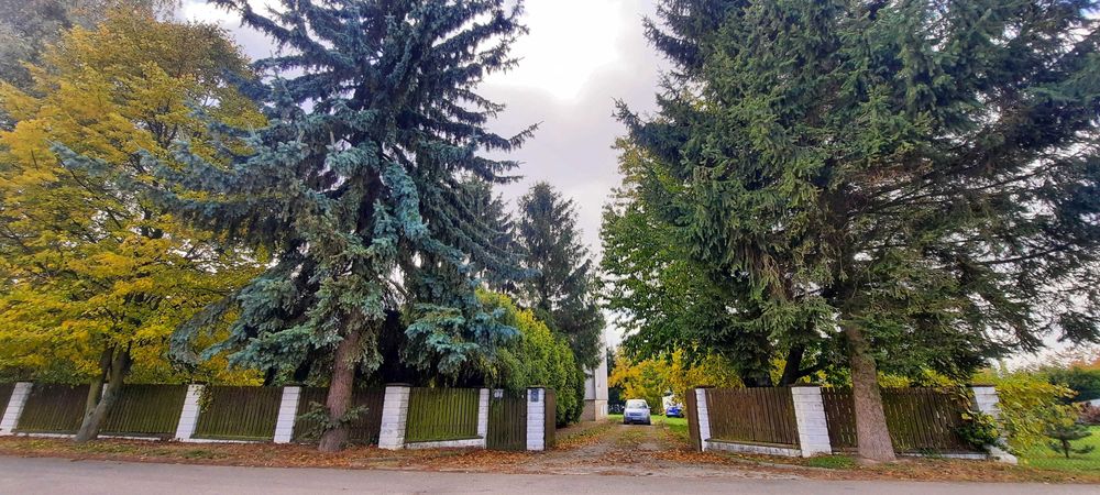 Dom 140m2, działka 1800m2