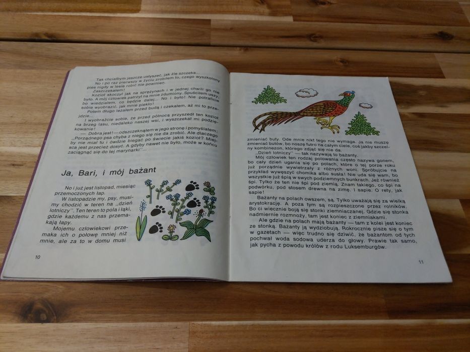 Ja Bari Frantisek Nepil