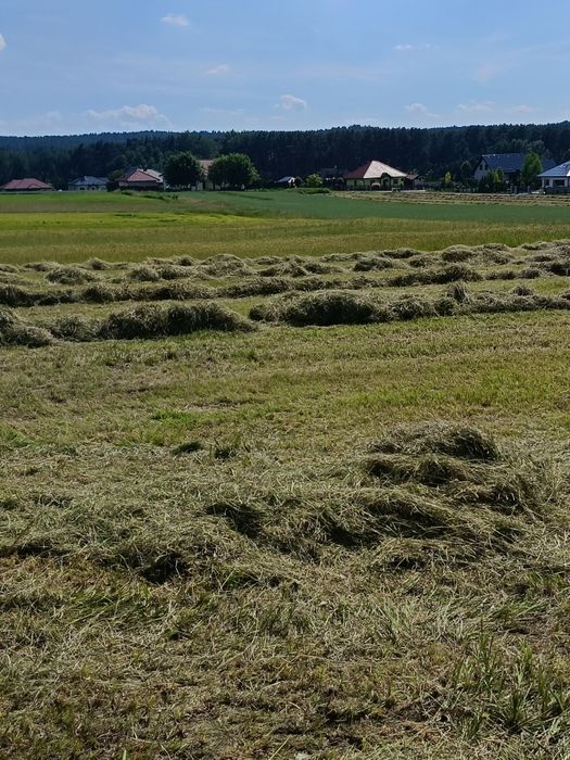Działka budowlana Kobyla Góra 12 ar