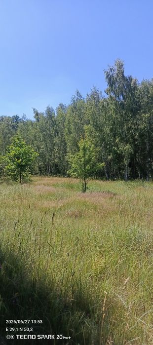 Продаж землі земельних ділянок
