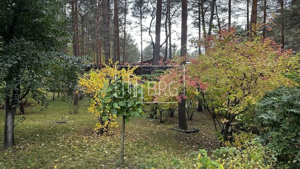 Продажа участка в сосновом лесу 52 сотки Козин Пятихатки без комиссии