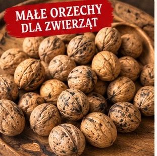Orzech włoski drobny z 2026 r. dla ptaków i zwierząt 1kg.