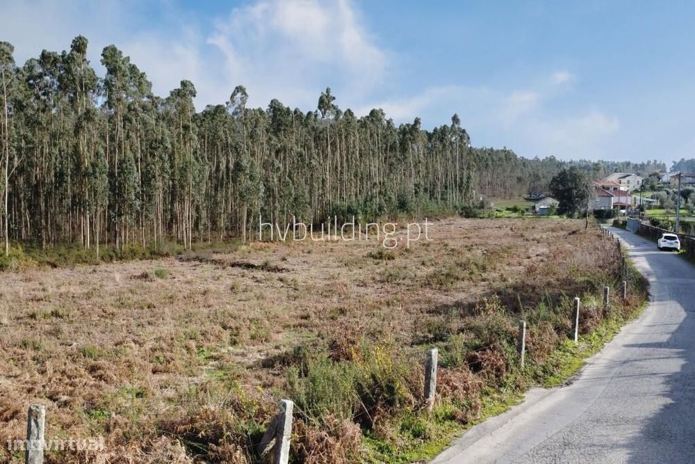 Terreno com potencial de investimento em Igreja Nova, Barcelos
