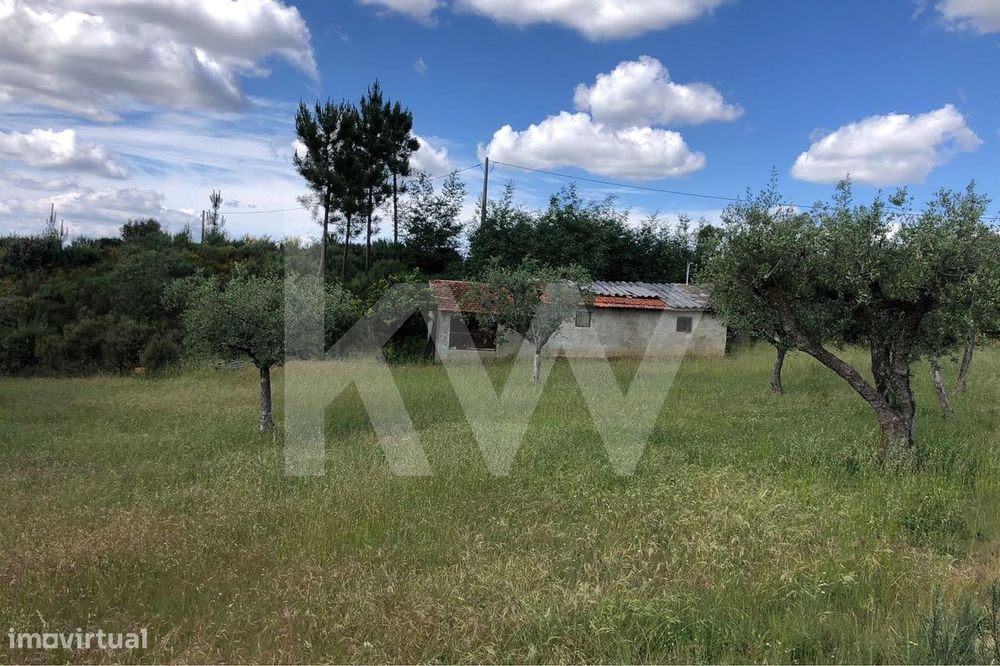 Terreno agrícola com Casa de arrumos para reconstrução | Bom acesso — Nogueira do Cravo, Coimbra