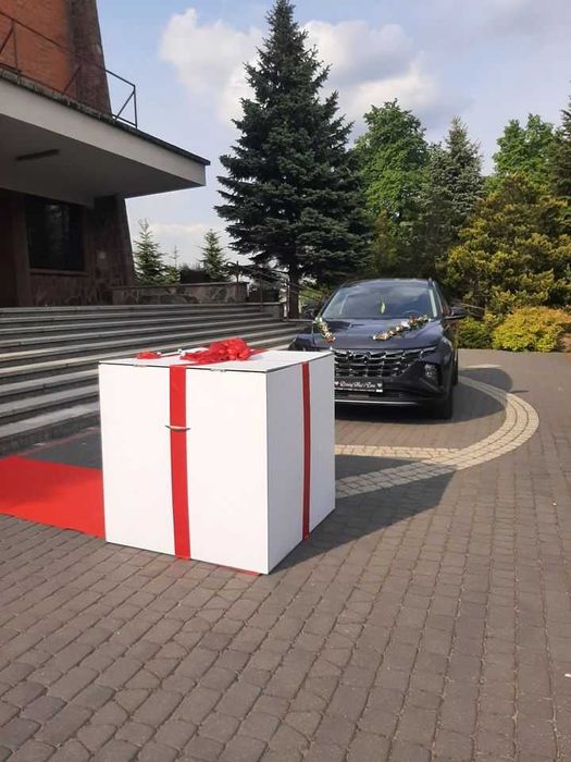 Pudło z balonami na Ślub wesele i inne uroczystości