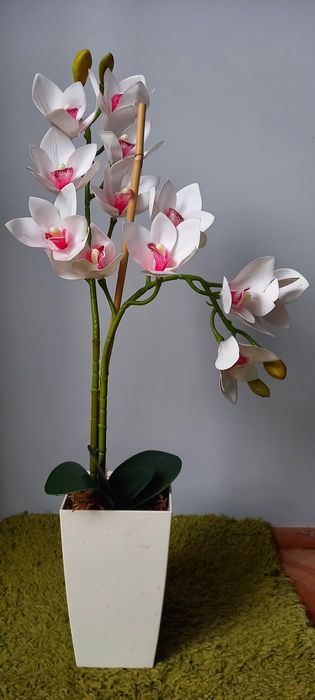 Sztuczny Storczyk w doniczce duży 72cm biały