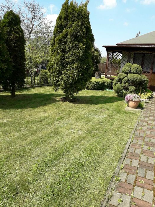 Piękna działka rekreacyjna z altanką murowaną - Widok 3
