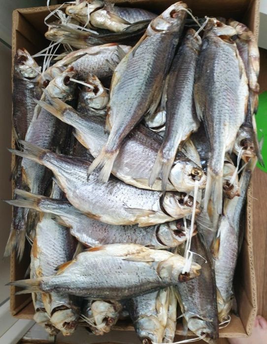 Тарань з ікрою. Плотва ікряна. Лящь таранька судак Окунь ікра щуки