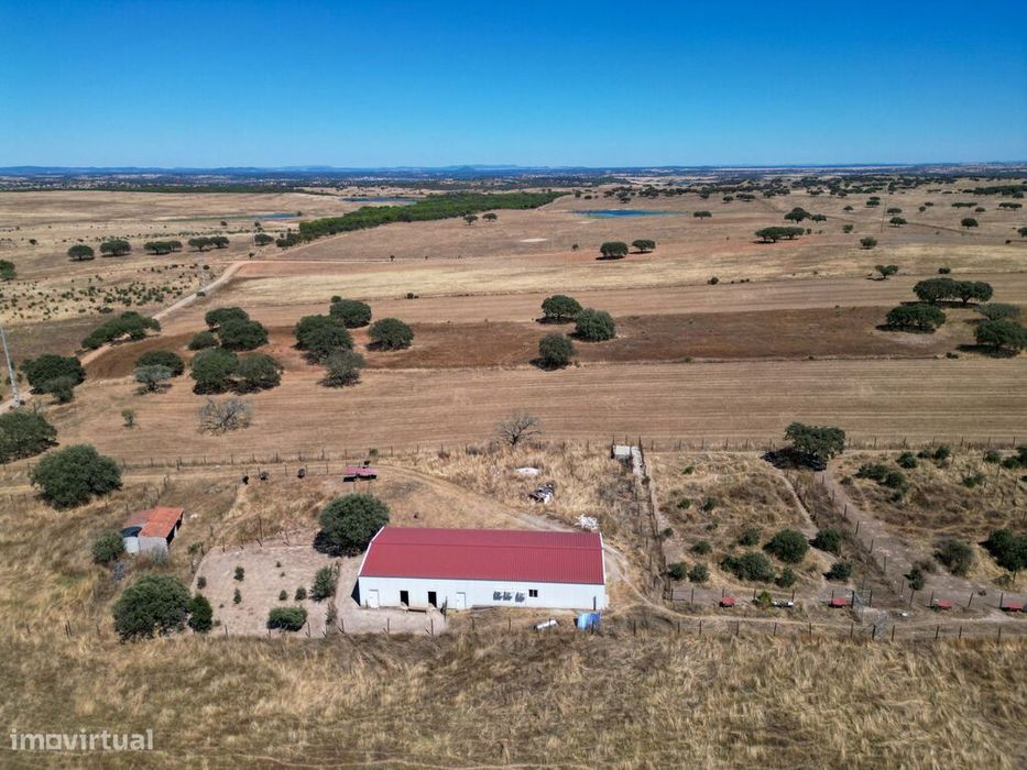 Terreno Misto com 4 Hectares e Armazém Licenciado a 5 Minutos de Monsa — Monsaraz, Évora