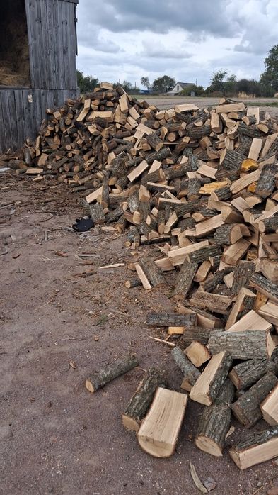 Купить дрова різних порід з доставкою