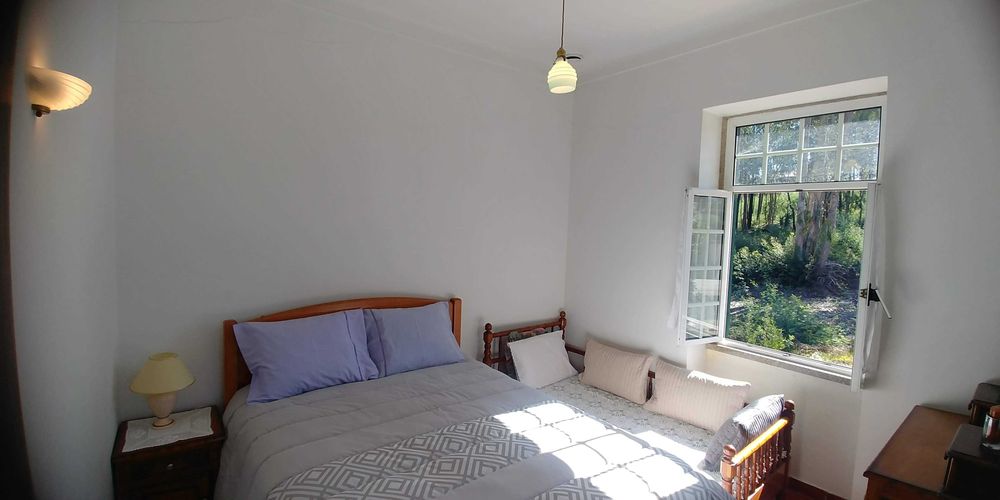 Moradia T4 Isolada com 11.000 m² de Terreno em Mansores, Arouca