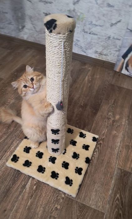 Кігтєточка для  котів. Дряпка, царапка для активних котиків