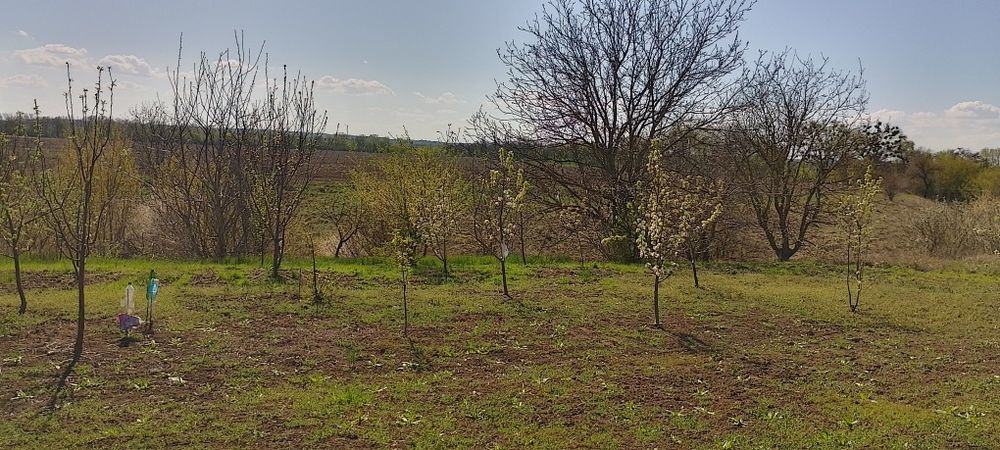 Продаж земельної ділянки с.Бобриця Канівський район