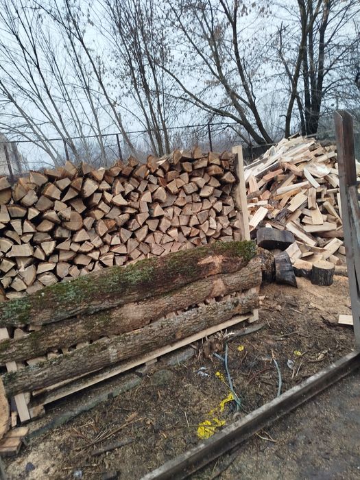 Дрова твердых пород дуб ясень