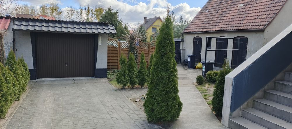 Mieszkanie – Piła - Widok 3