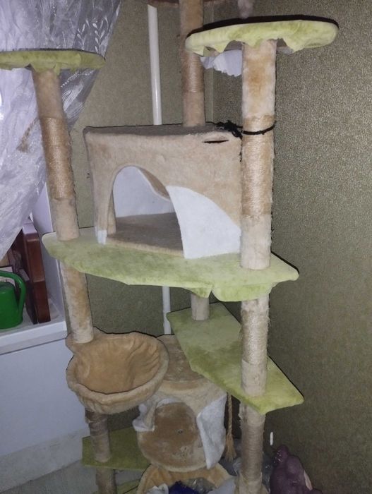 Домівка для кота