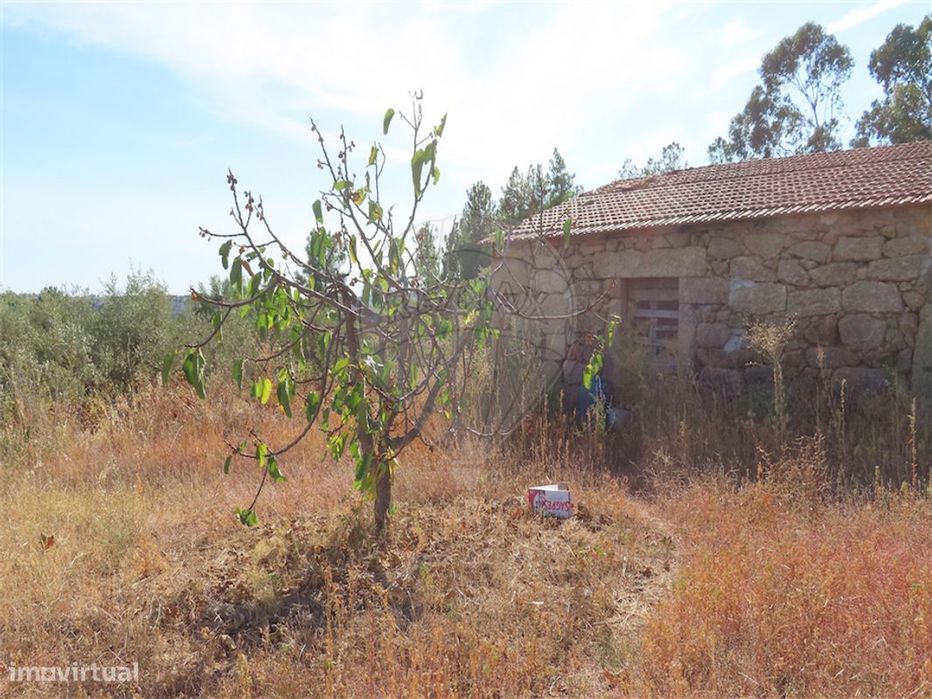 Quinta  para venda — Póvoa De Atalaia E Atalaia Do Campo, Castelo Branco