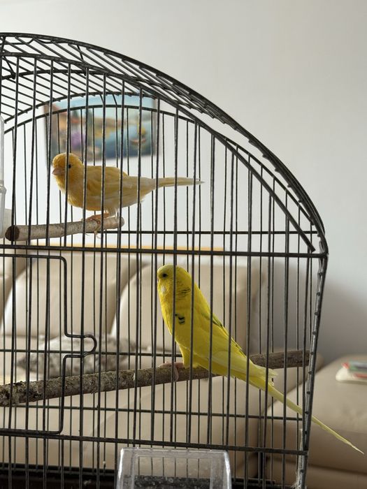 Klatka wraz z wyposazeniem