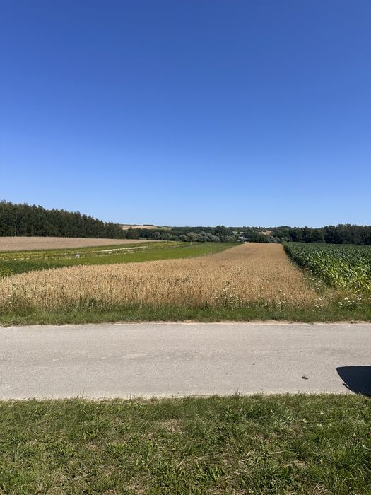 Działki rolne położone w miejscowości Kikow