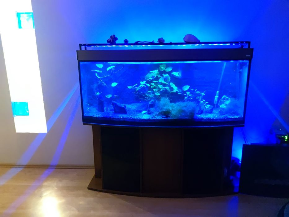Szafka pod akwarium 500 litrów 150 cm