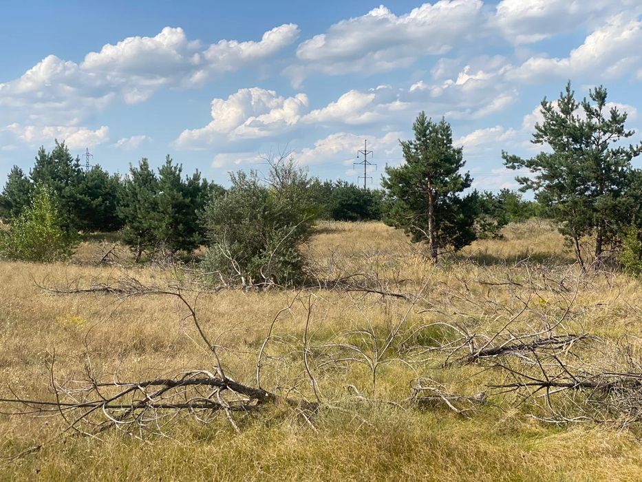 Участок под глэмпинг, базу отдыха возле Голубых Озёр свой пляж