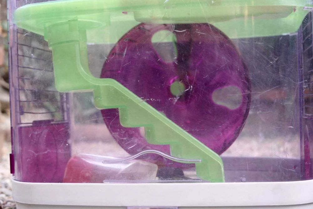 Gaiola hamsters.