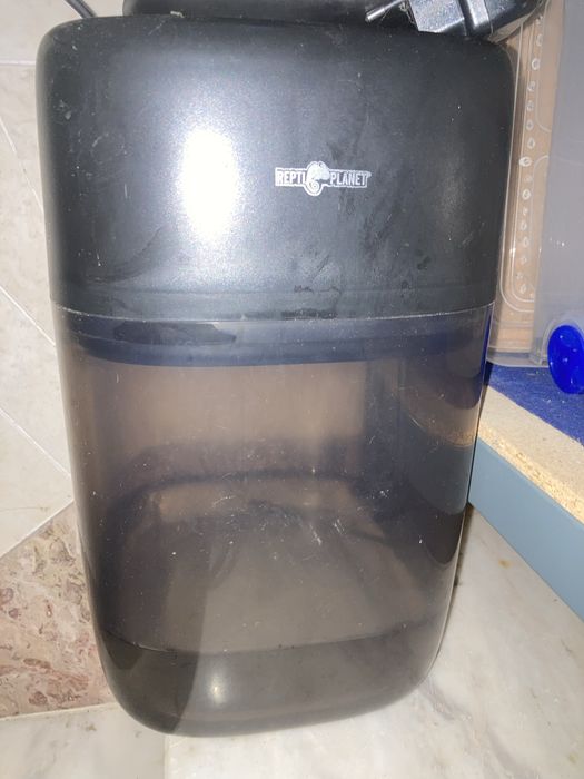 Terrarios rede e sistema de chuva