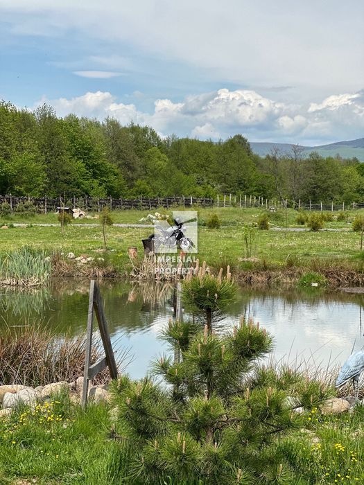 Продам унікальний і неповторний будинок в затишному куточку Закарпаття