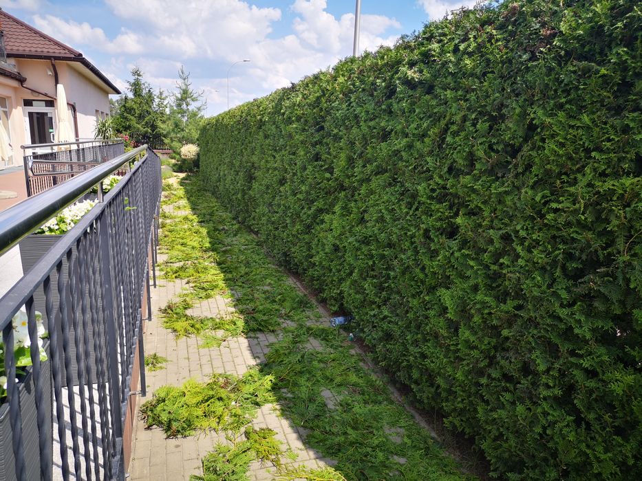 Ogrodnik Pielęgnacja