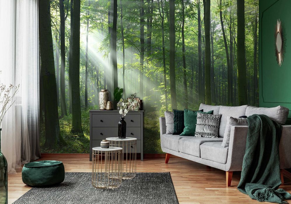 Fototapeta Las Zieleń Słońce Natura 3D Na Twój Rozmiar + KLEJ