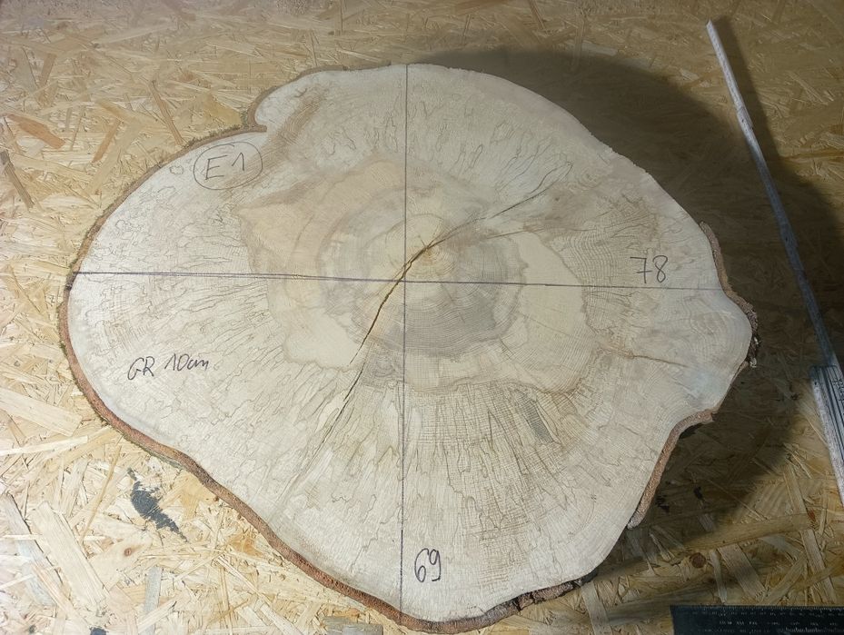 Plaster drewna bukowego E1