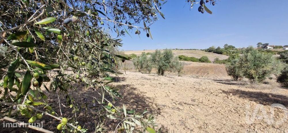 Terreno em Azambujeira e Malaqueijo de 12080,00 m2