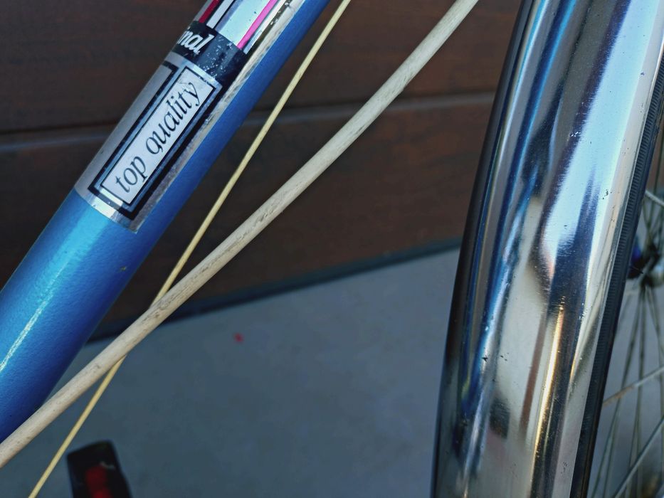 Rower universal Leda