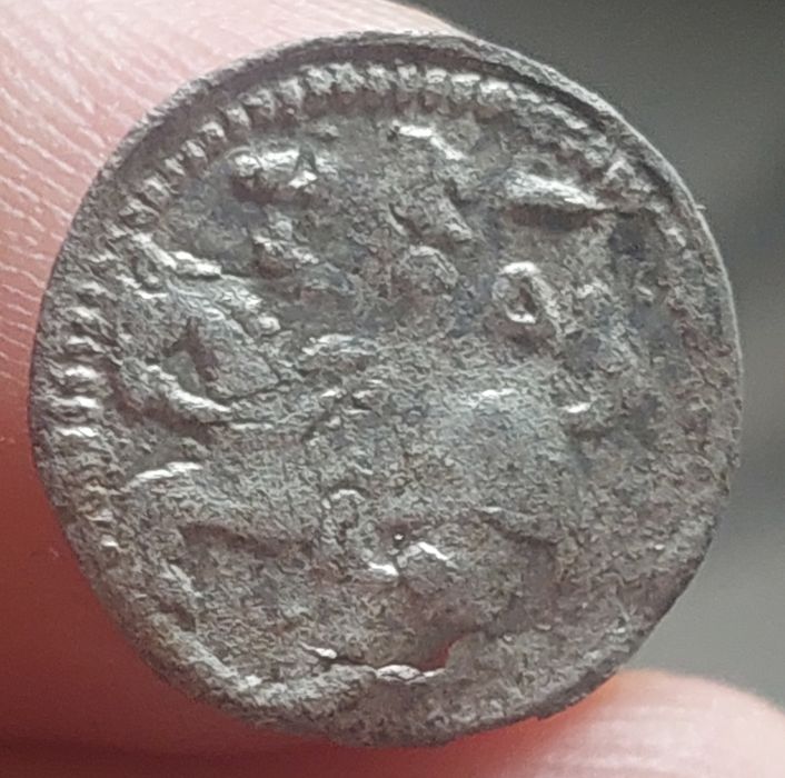 Denar 1501 - 1506 r. Wilno, Aleksander Jagiellończyk