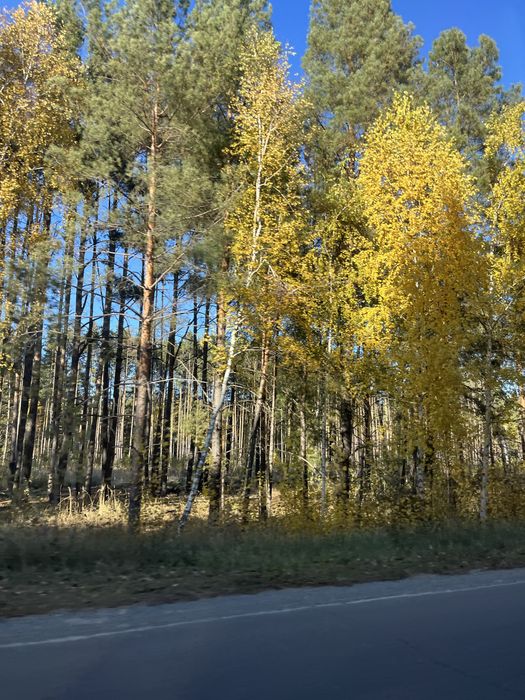 Продам ділянку , дачу с. Пилява. Вишгород.