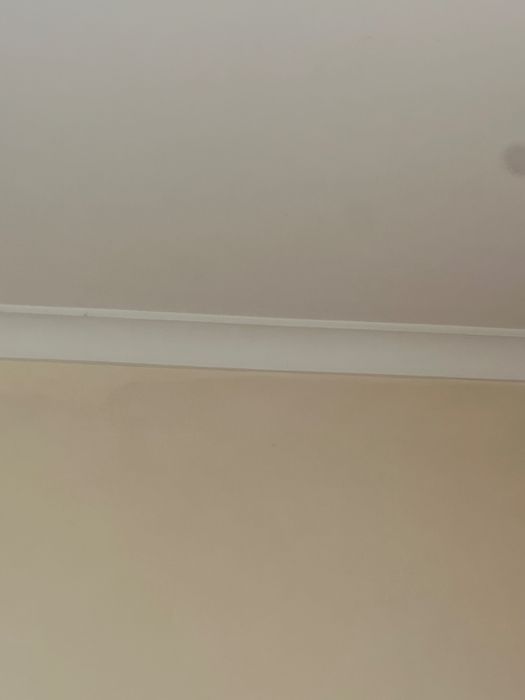 Casas limpas  e organizadas…