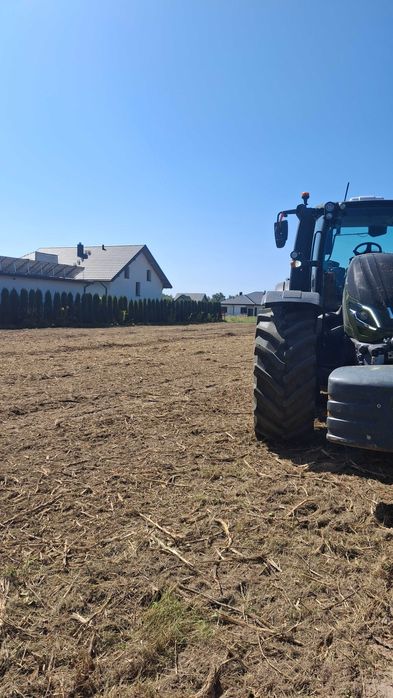 Mulczowanie Karczowanie Drzewa Krzewy Samosiejki Czyszczenie działki