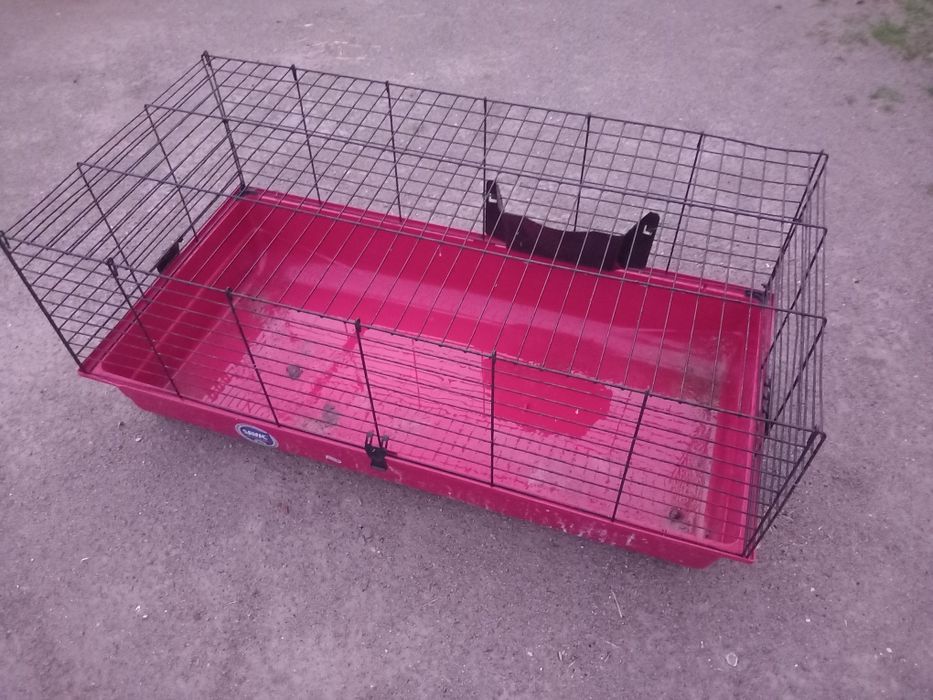 Gaiola de coelho