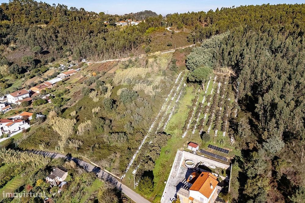 Terreno  para venda